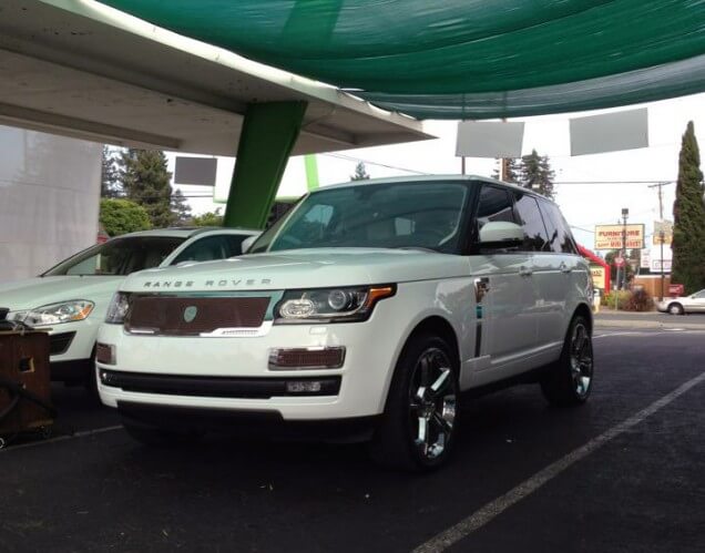 Strut Grill Range Rover - Eco Green Auto Clean